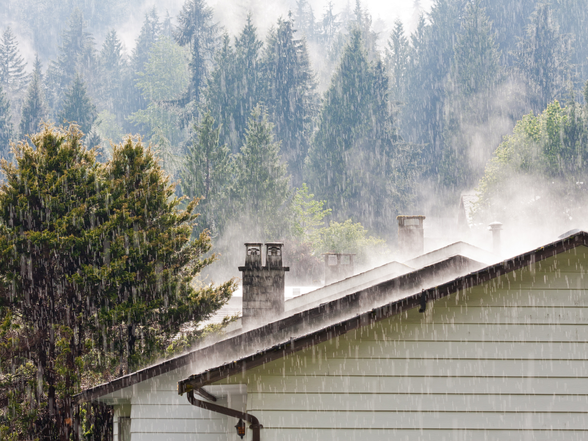 Rain on a house roof. Pine trees in the background